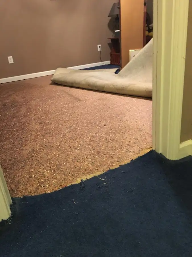 Carpet pad removal revealing water damage during Drying & Dehumidification in Columbia Falls