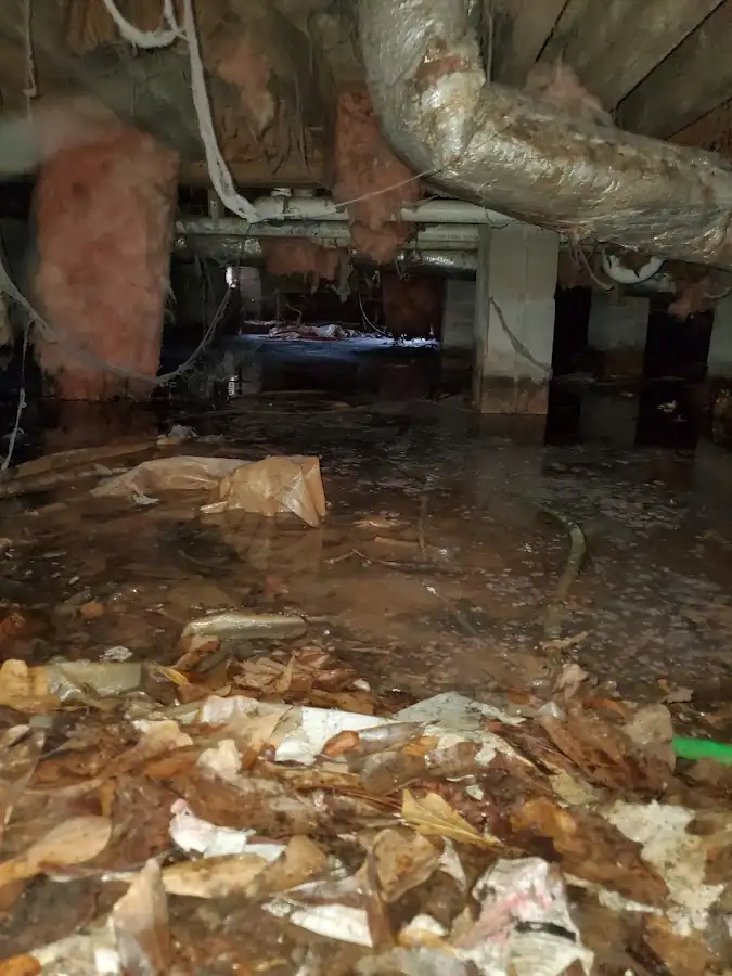 Crawl space flood assessment for Leak Detection & Repair in Columbia Falls