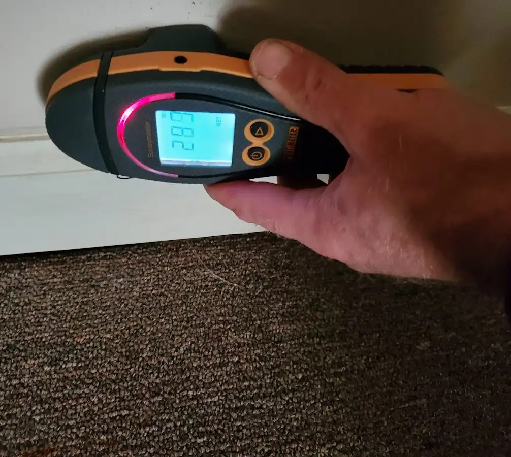 Moisture detection at baseboard during Mold Inspection & Testing in Columbia Falls